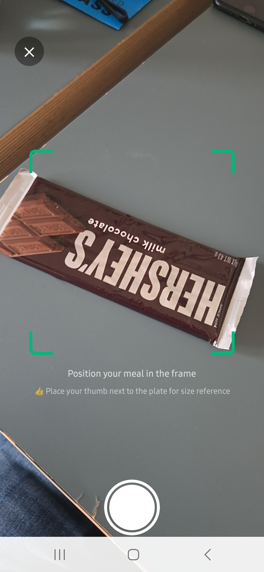 CalorieIt camera screen framing a meal to snap